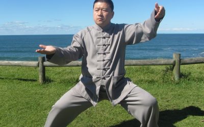 Master Chen Yingjun Visiting Later in the Year
